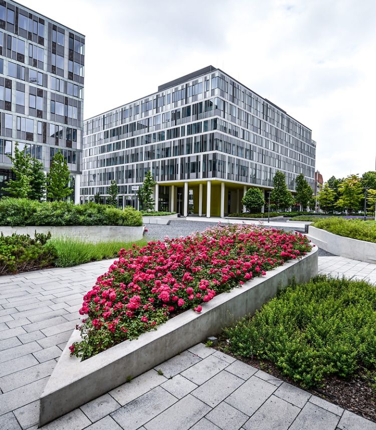 Portfolio information