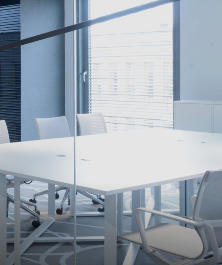 General Shareholders' Meeting